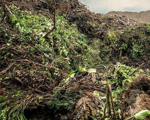 Groen afvalcontainer